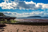 Washed up sex toys bring wave of excitement on Scottish island