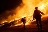 BREAKING Palisades fire arrest made after deadly blaze killed 12 and wiped out 6,800 homes
