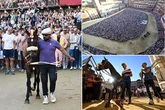 Inside the world's most unique horse race as thousands pack into tiny medieval square