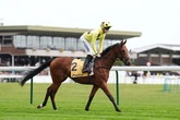 'He is regarded as a 2,000 Guineas prospect' – Jason Heavey's Saturday racing tips