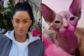 Katie Price shows off new £800 kitten after money troubles and pet controversies