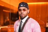 Chris Brown's housekeeper wins damages after dog ripped off 'large chunks of her skin'