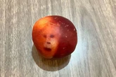 Face of Boris Johnson spotted on a fruit as woman wanted to 'call an exorcist'