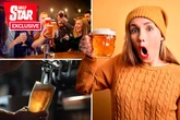 Even busiest pubs faces closure in 12p a pint profit shambles says ex 'night tsar'
