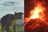 Earth's biggest extinction event didn't actually kill off everything, boffins discover