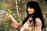 Hunters want the right to shoot down parakeets as they spread across Britain