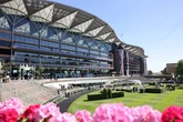 British horseracing on strike - why the industry is fighting against the government