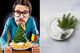 'Don't eat leftover Christmas trees – they could kill you,' boffins warn