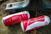 Idiot driver crashes car while 'peeing into can of Budweiser' as cops baffled