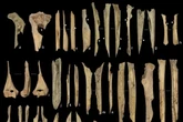 Ancient humans practiced 'child cannibalism' as toddler bones found in 800,000-year-old graves