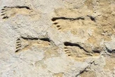 Humans existed in America as far back as 23,000 years ago, boffins claims