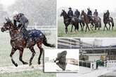 Snow lashes down on Cheltenham Festival as UK weather plunges into icy -1C deep freeze