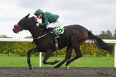 Tyson Fury's horse backed at Chelmsford in Starform racing guide with Redcar and Ayr tips