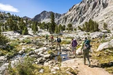 Mystery illness leaves dozens of tourists violently ill at famous hiking trail