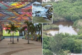 World Cup fan fest deserted after being built in the middle of a crocodile swamp