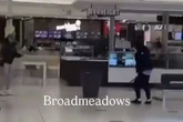 Mortified shoppers run for their lives as machete brawl erupts inside shopping centre
