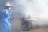 What is Chikungunya Virus and why is an entire country in meltdown over it?