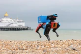 Domino's launches robot guard dog 'Domidog' to protect pizza from seagulls