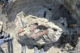 Massive new T-Rex style dinosaur died half-way through eating a deadly crocodile
