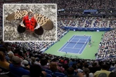 US Open 'terrorised' by sex-crazed invasive bugs as fans told to call for help