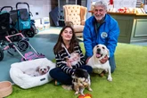 Meet the doomed dogs saved from Chinese meat markets for a second chance in the UK