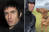 Liam Gallagher taking rescue dog on Oasis tour because he can’t bear to be separated