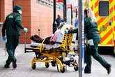 World at 'high risk' of deadly flesh-eating Anthrax virus, claims panicked experts