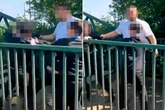 Man retrains young boy while youngsters line up to batter him one by one in horror video