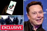 Elon Musk taking over TikTok could lead to 'unparralelled power' and change democracy