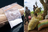 Colombian cartels struggling as country has 'too much cocaine' after sales slow down