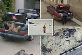 Google Maps' most wild action shots from naked man in car boot to murder clue