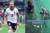 Every mystic World Cup prediction ranked - from psychic sharks to alien abductions