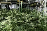 Albanian trio ran biggest cannabis farm judge had ever seen from disused shopping centre