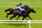 'This filly is a monster' – Jason Heavey marks your card with five more to follow