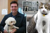 Andy Burnham's 'angry' dog Axel banned from No 10 to protect Larry the cat