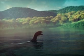 Baby Loch Ness monster caught in depths after footage captures 'multiple sets of humps'