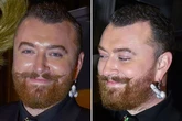 Sam Smith steps out with a glitzy silver penis earring for charity bash and turns heads