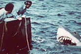 A-Z of Jaws facts from weird shark nickname, drunk on set and alternative title