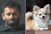 Sick man locks Chihuahua in the hot oven and bakes it to 'stop it barking’