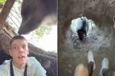 Idiot influencer climbs into bear pit before huge beast returns and he's 'almost eaten'