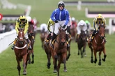 'I fancy 100-1 Cheltenham Festival winner to score at Royal Ascot'