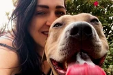 Woman seriously hurt in attack by dog she found on Facebook three weeks ago