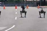 'Terminator' robot dogs armed with machine guns deployed to help stop an invasion by Chinese army