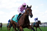Bullet Point takes aim at rivals – day two Royal Ascot tips