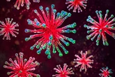 'Final Boss' cure for Covid could finally be here as 99% of infections stopped