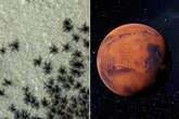 NASA finds 'strange and beautiful' spiders on Mars – but it's not what you might think