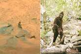 'Alien Bigfoot on Mars' sparks bizarre online debate as people say two things