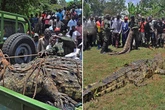 'Bloodthirsty' immortal monster crocodile killed 80 and 'refused to die'
