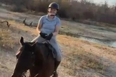 Lion drags tourist off her horse by the neck and leaving her fighting for life