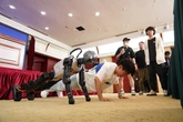 China to host first robot Olympics featuring human events - including football
